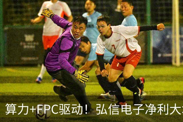 算力+FPC驱动！弘信电子净利大增139%，股价较年内高点回撤超40%